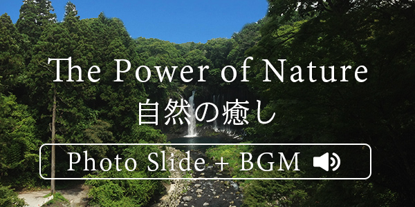 自然音の癒し〜The Power of Nature